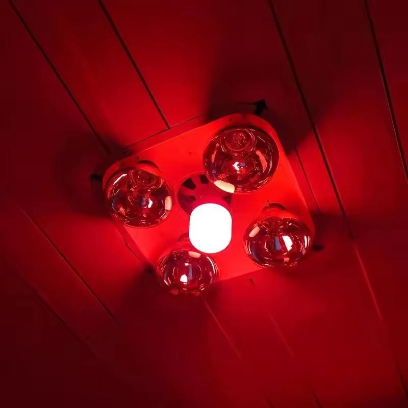 مصباح LED أحمر جديد عالي القدر - مراجعة Solar Lamp وسعره