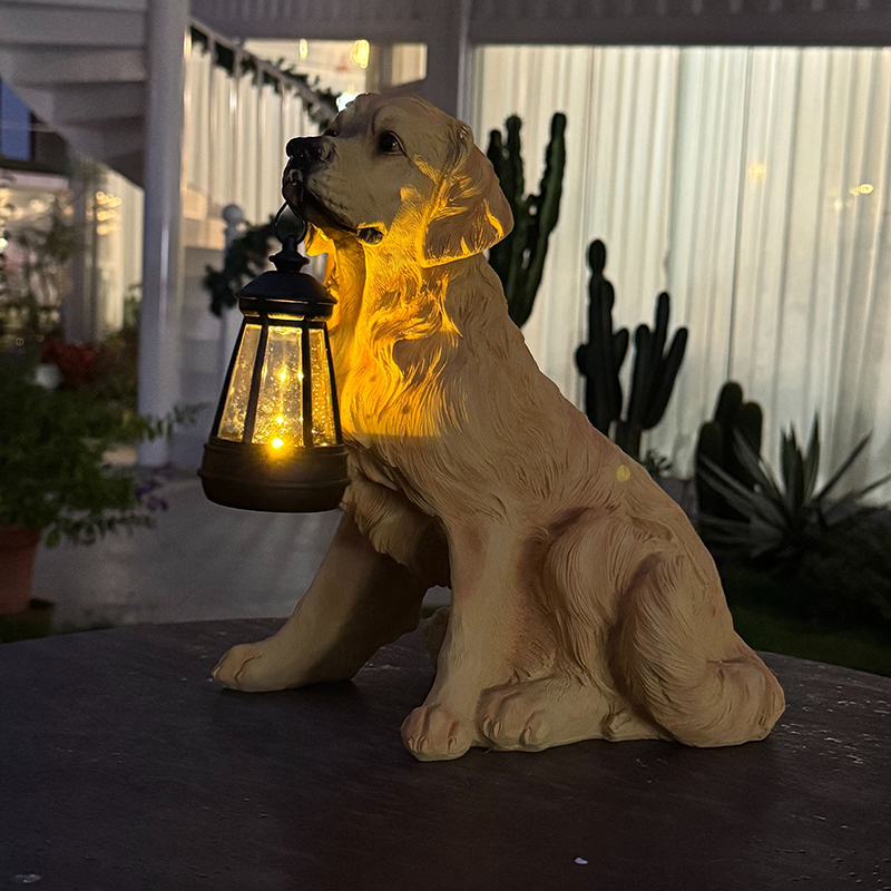 مصباح أرضي مضيء للساحات يعمل ب - مراجعة Solar Lamp وسعره